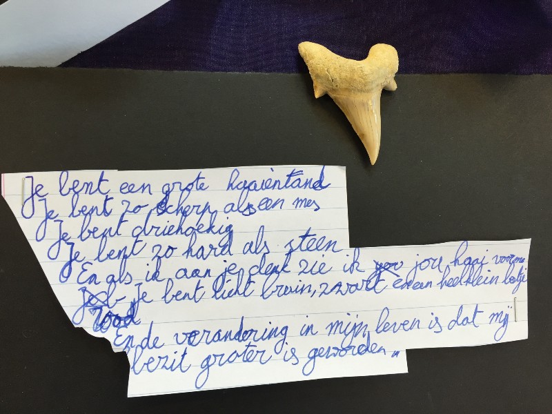 Ik wilde meer inzicht krijgen in hoe het onderwijs werkt op het gebied van creativiteit
