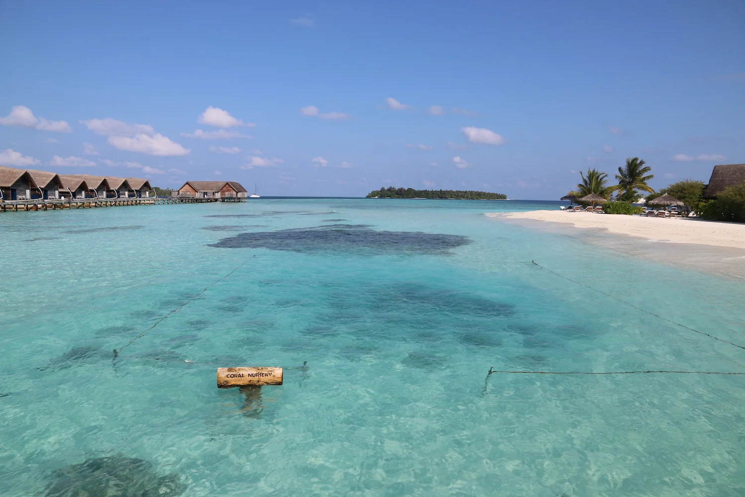 How Maldives resorts are fighting to save the coral reef