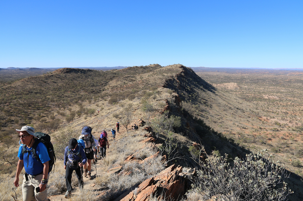 Walking along Euro Ridge on Day 1 of the Larapinta Trail in Comfort with Australian Walking Holidays_Photo Celeste Mitchell.jpg