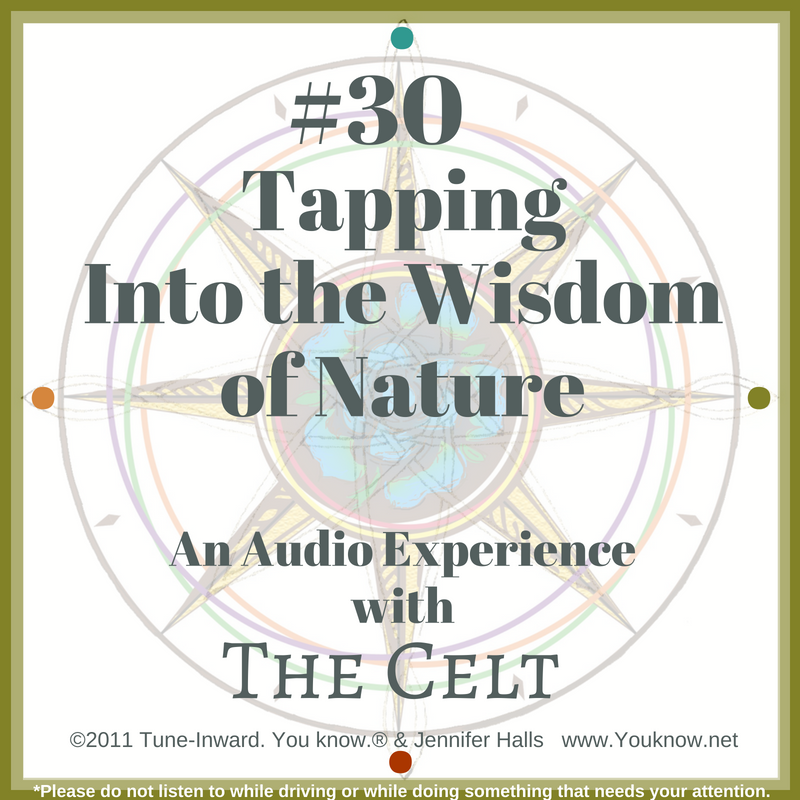 30-tapping-Into-the-wisdom-of-nature-celt-experience-2011-from-web-page-image.png