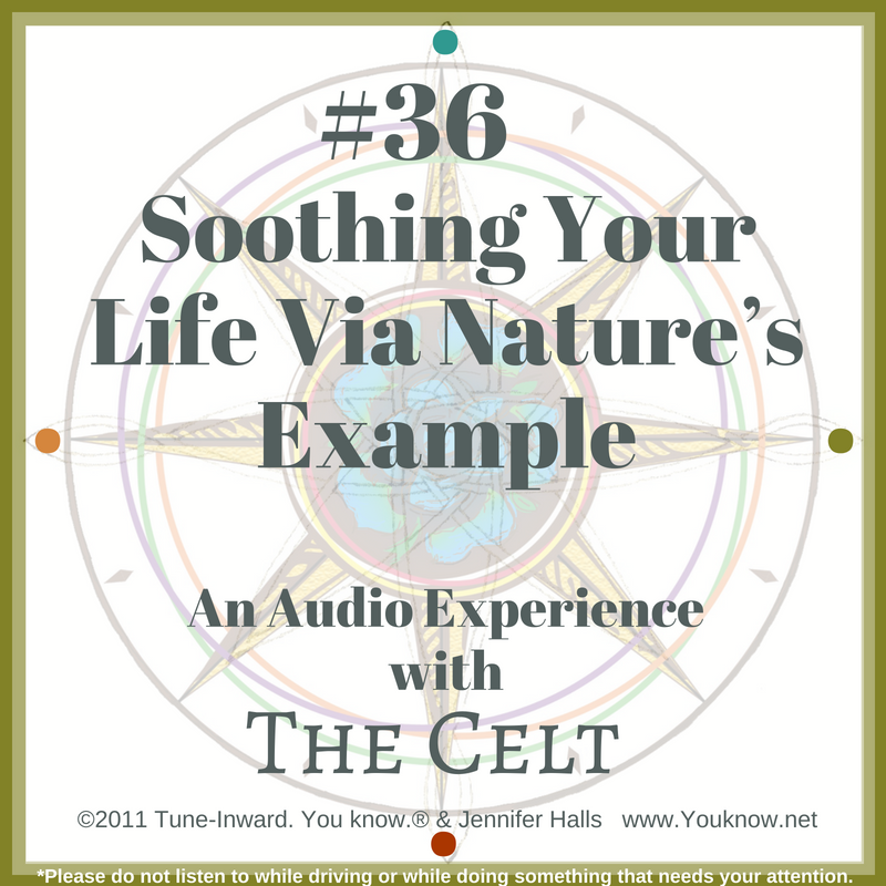 #36 Soothing Your Life Via Nature’s Example