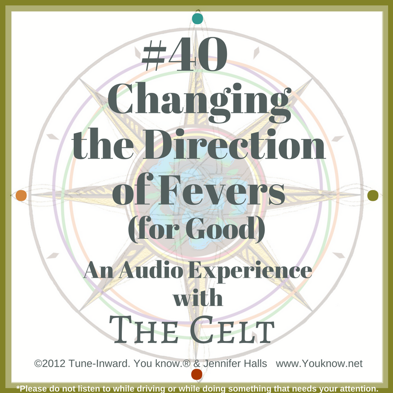 #40 Changing the Direction of Fevers (for Good)