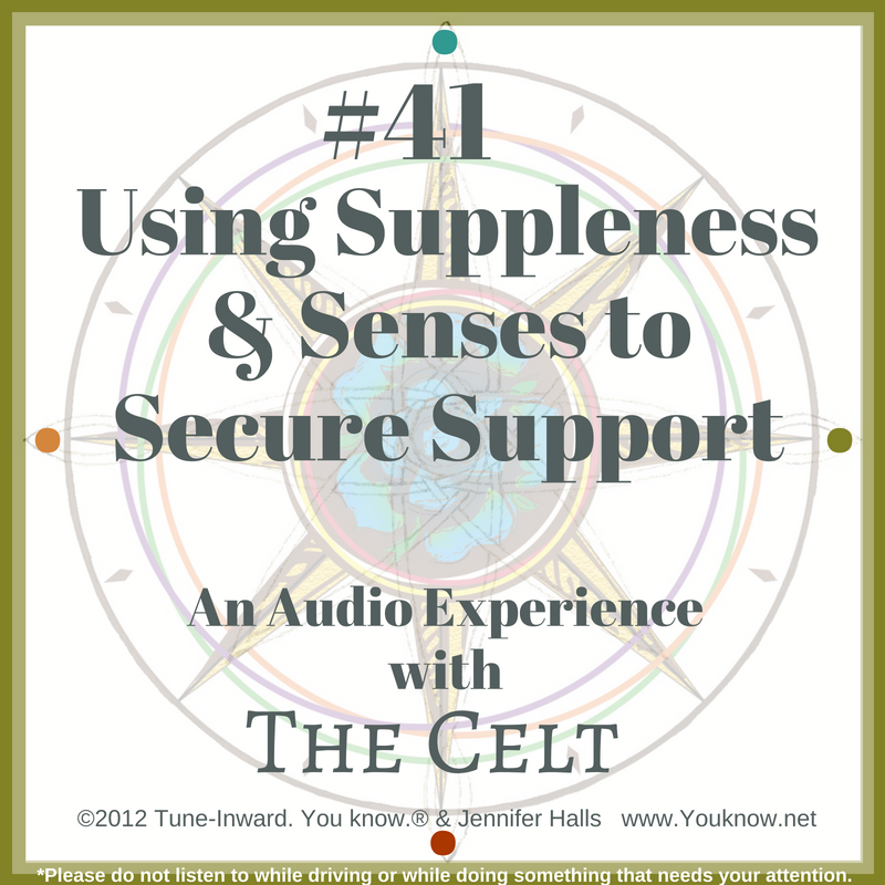 #41 Using Suppleness & Senses to Secure Support