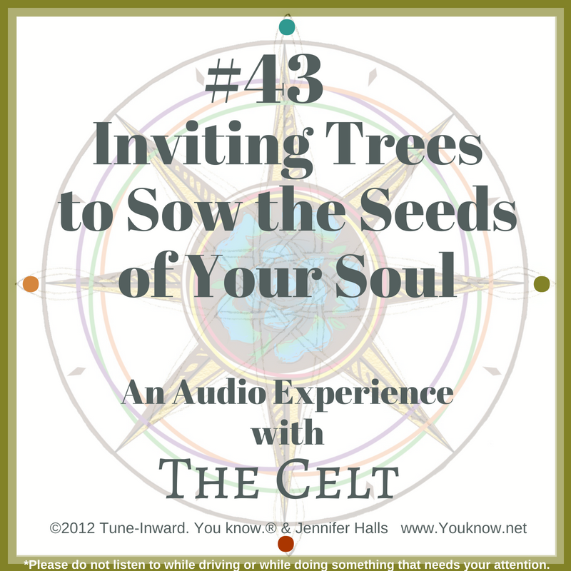 #43 Inviting Trees to Sow the Seeds of Your Soul