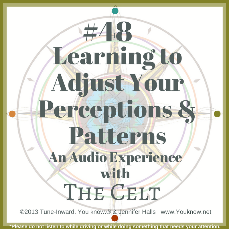 48-learning-to-adjust-your-perceptions-and-atterns-celt--experience-2013-from-web-page-image.png