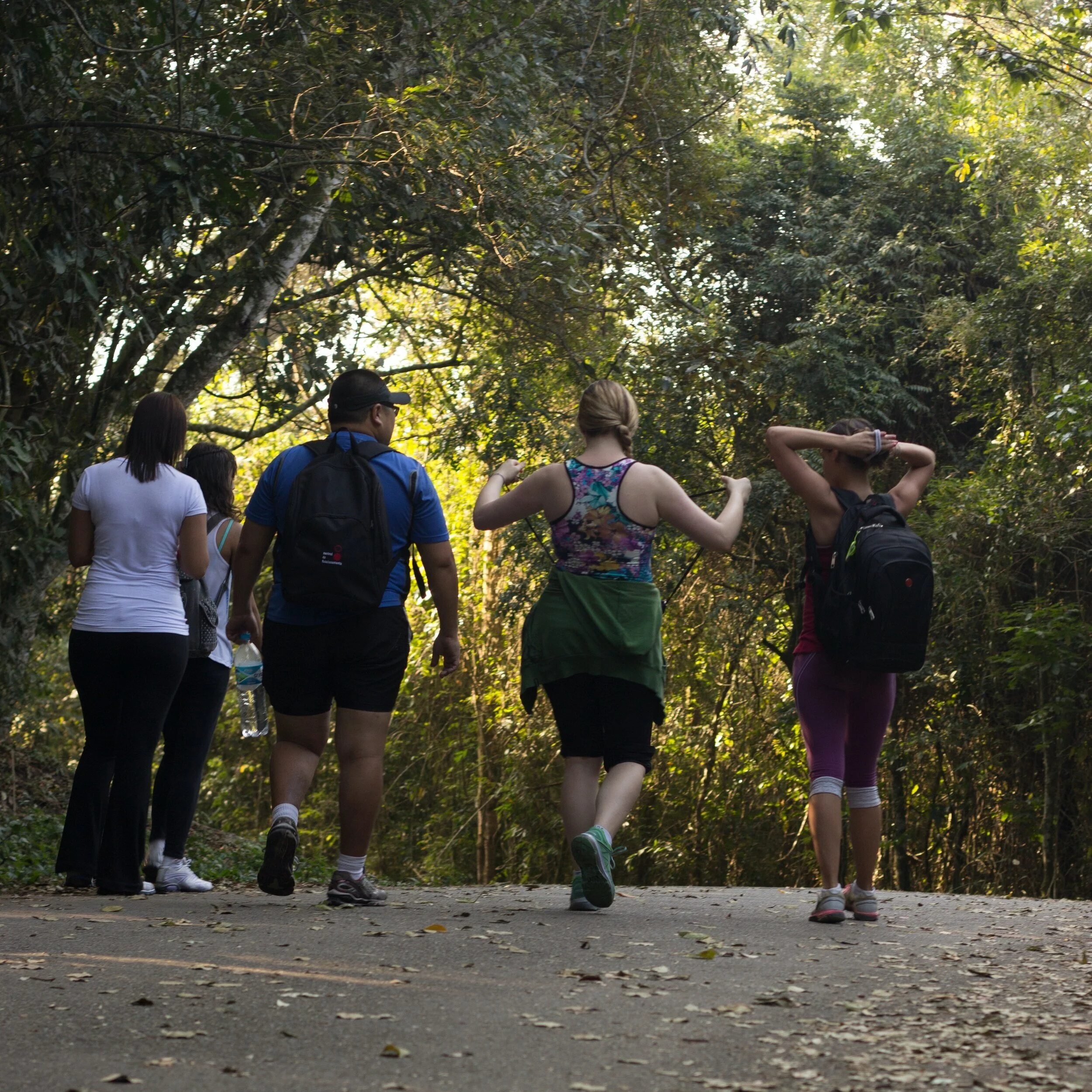 Make walking a habit – with your doctor’s help