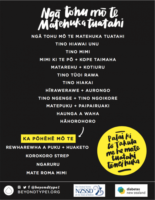 A4 Poster Warning Signs Type 1 Te Reo