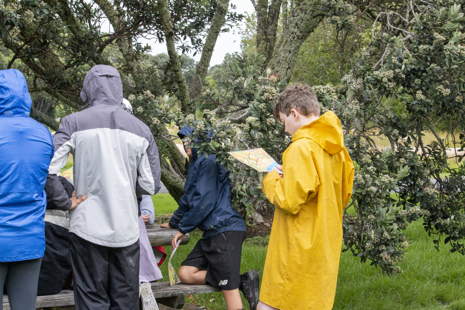 Map reading-medium.png