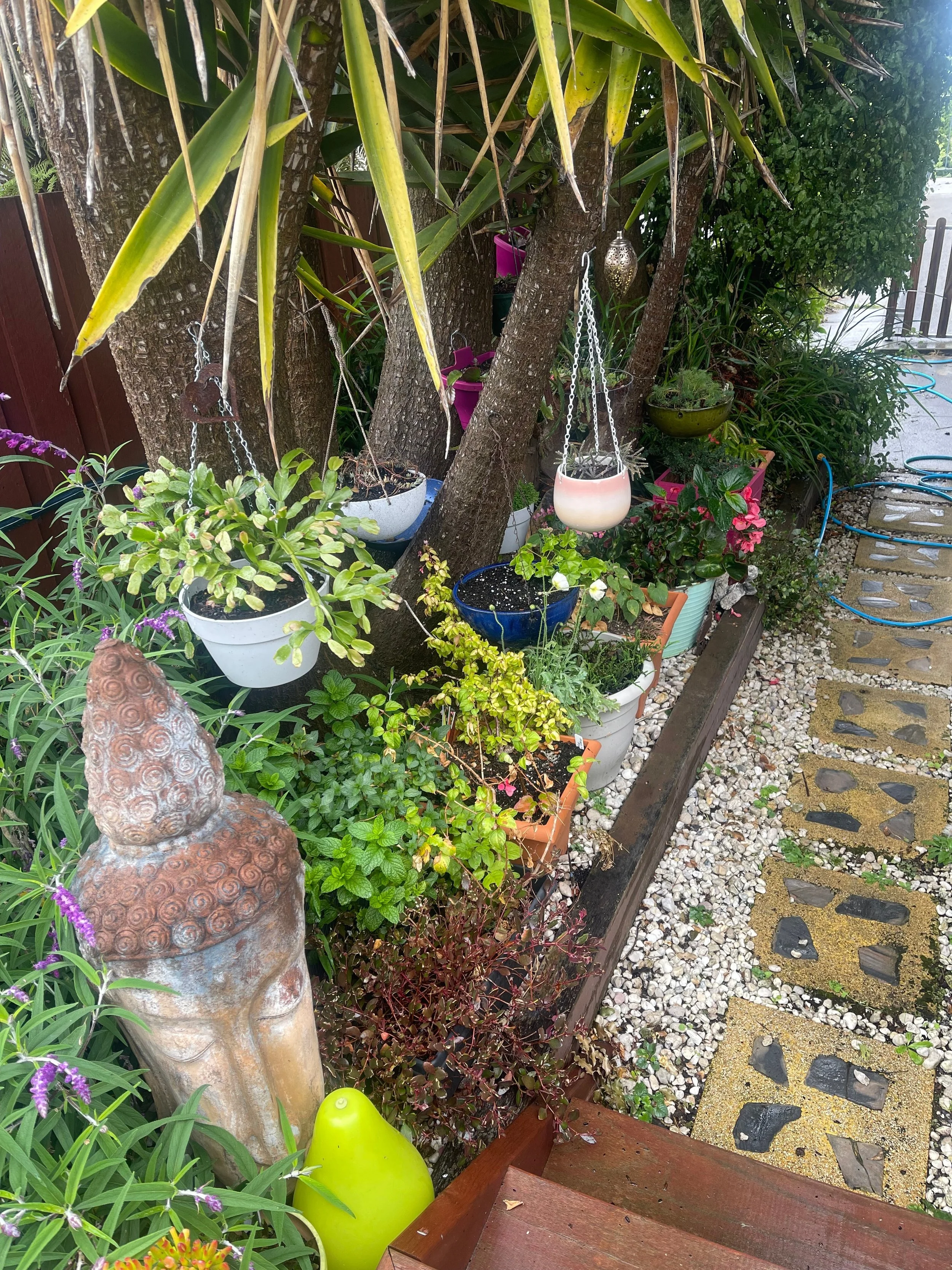 Gardening for everyone's wellbeing