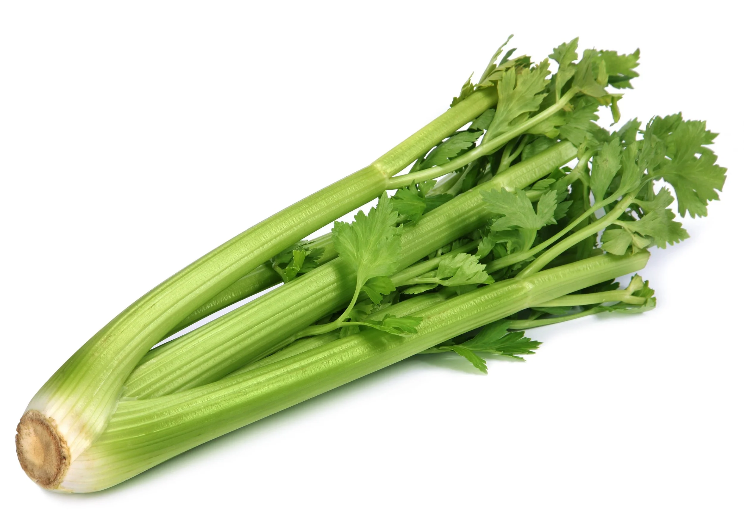 celery.jpg