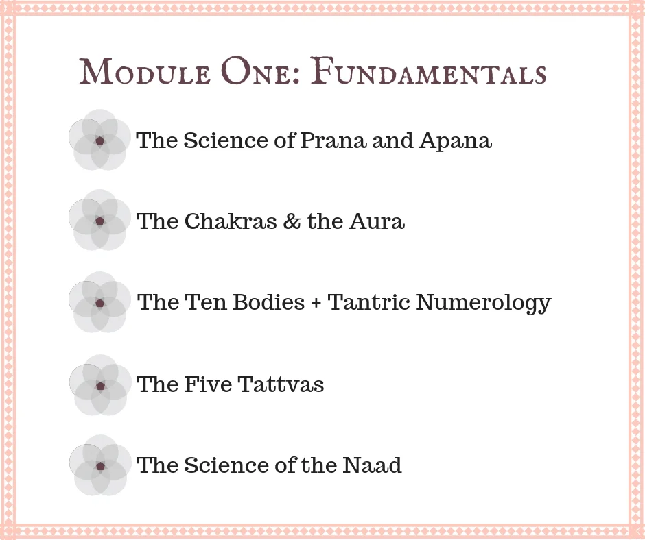 MODULE ONE: SATURDAY, OCT 13 8:30am - 1pm SUNDAY, OCT 14 8:30am - 1pm
