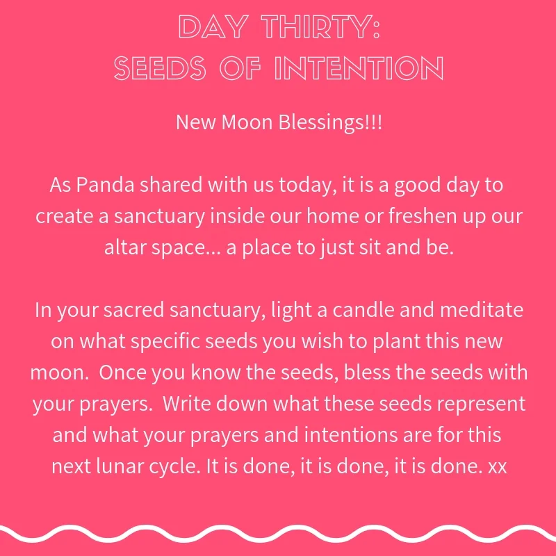 Miracle Frequency Day Thirty Journal Seeds of Intention.jpg