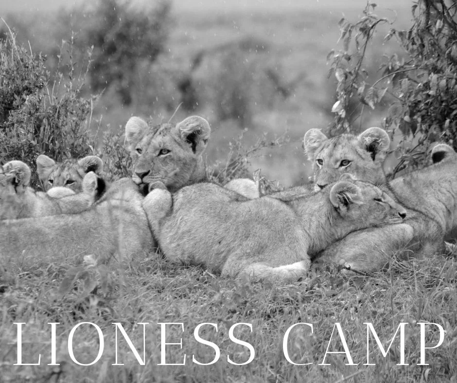 LIONESS CAMP.jpg