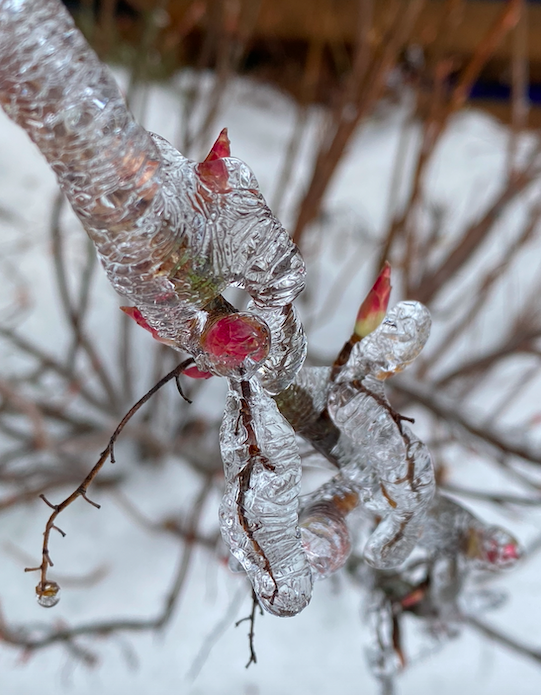 Screen Shot 2023-01-14 at 2.23.20 PM.png