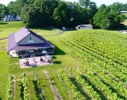 Spring is in the air and outdoor shows are back! 