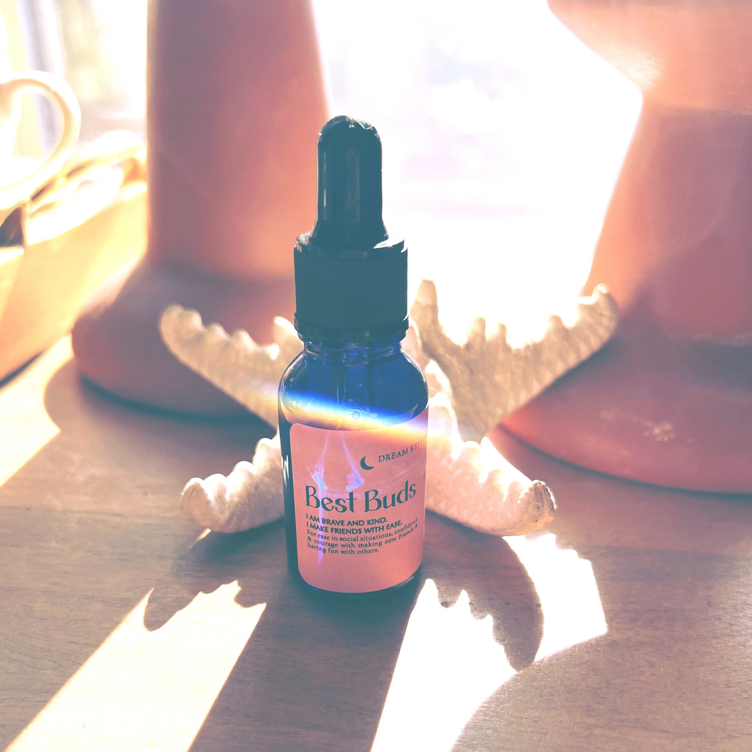 AnalogFilterLab 12.JPG