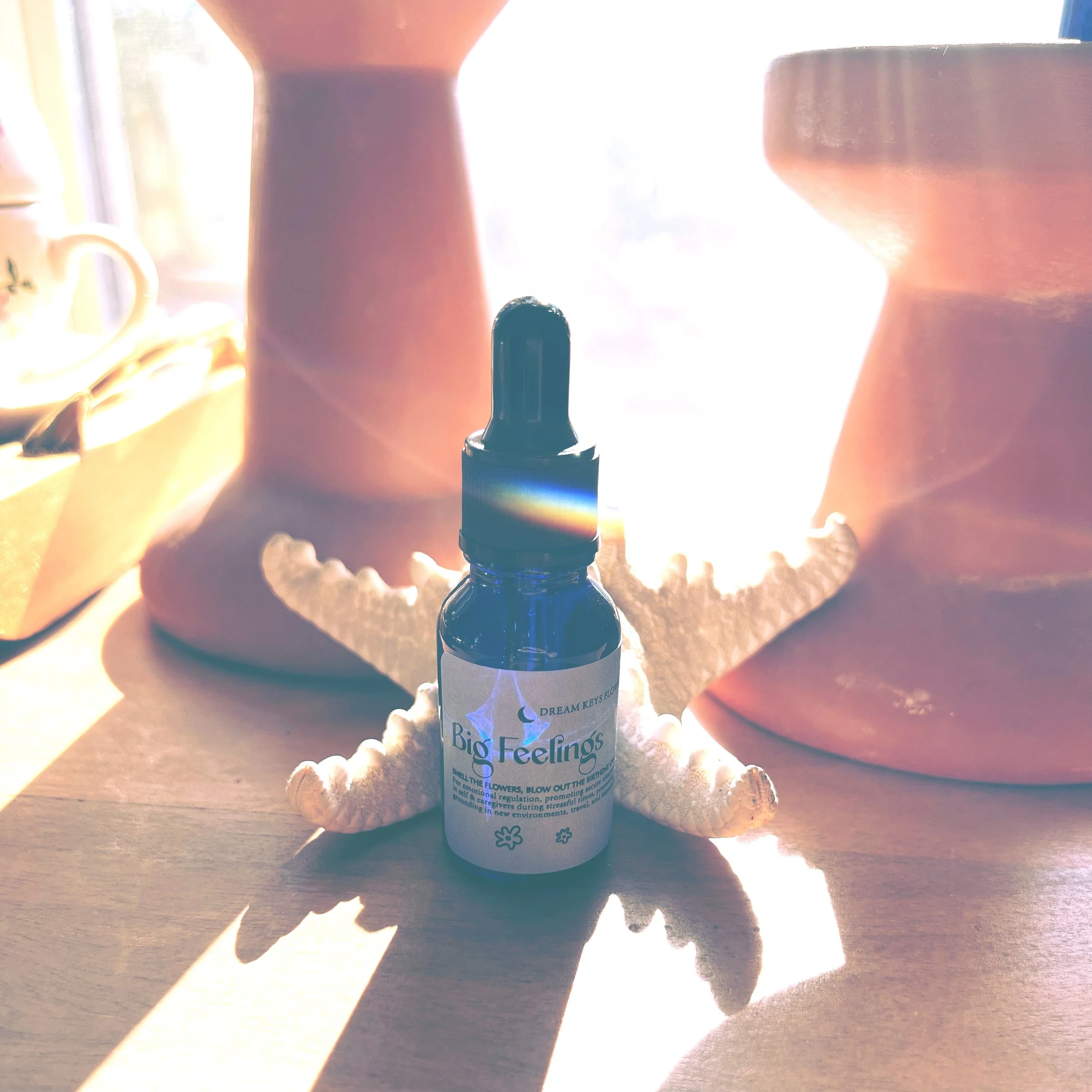 AnalogFilterLab 11.JPG