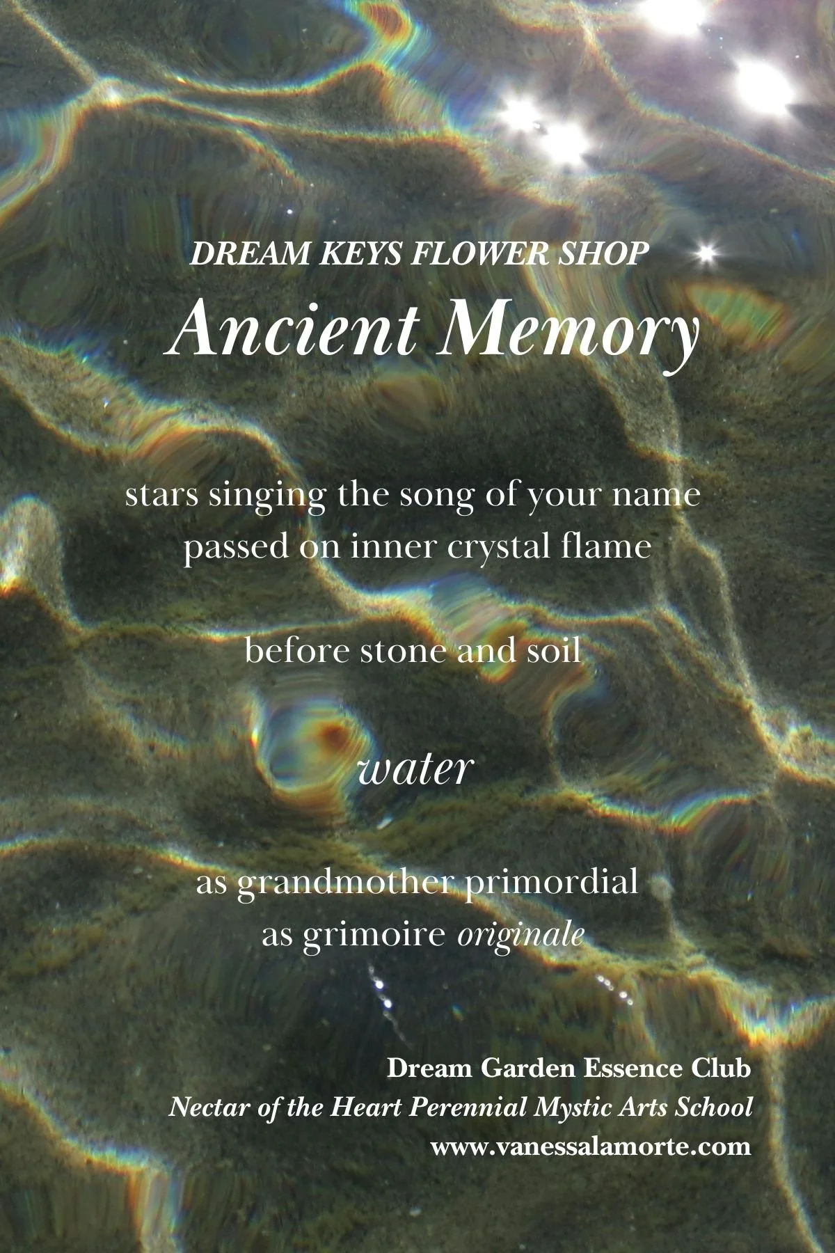 Ancient Memory 2026.jpeg