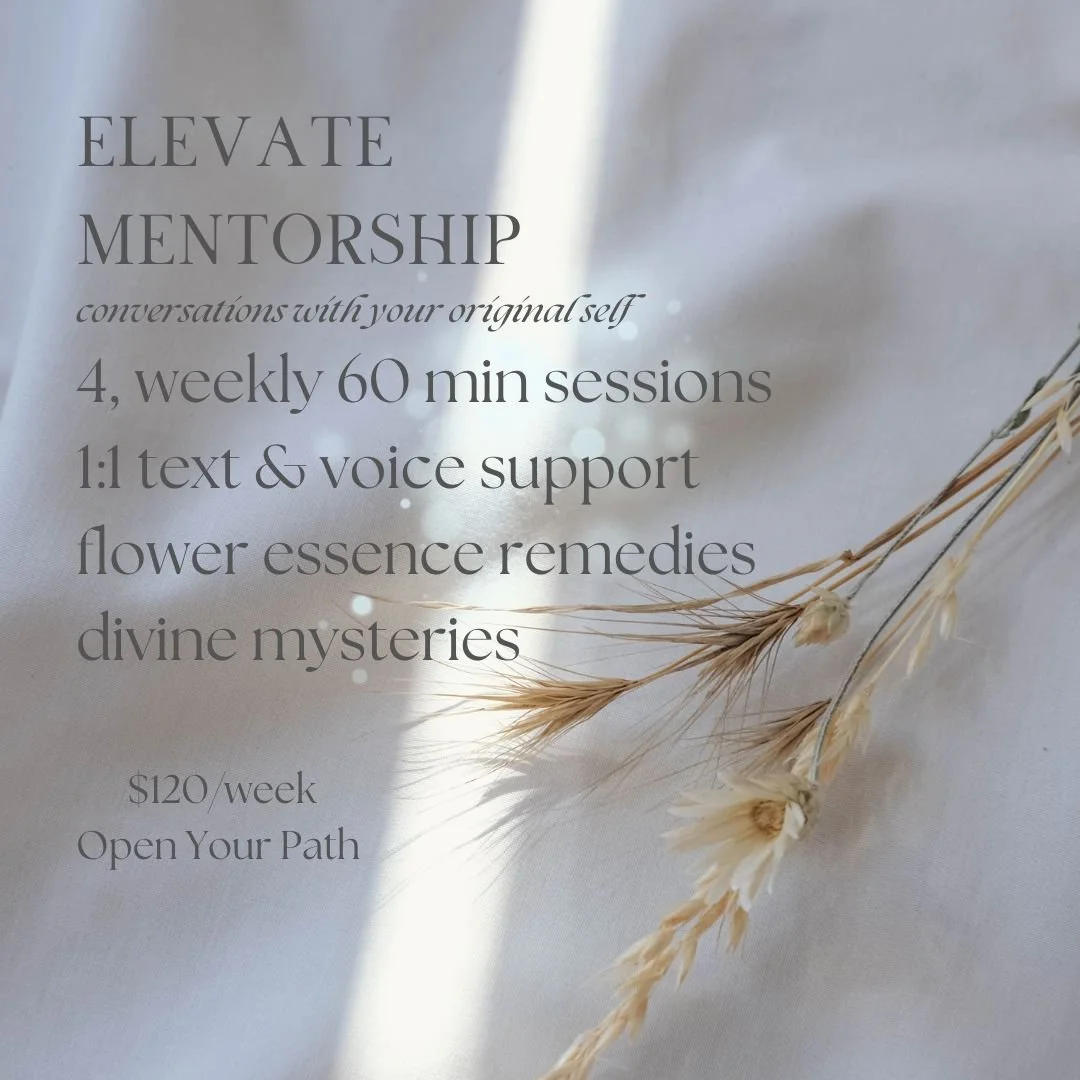Elevate Mentorship Post.jpg