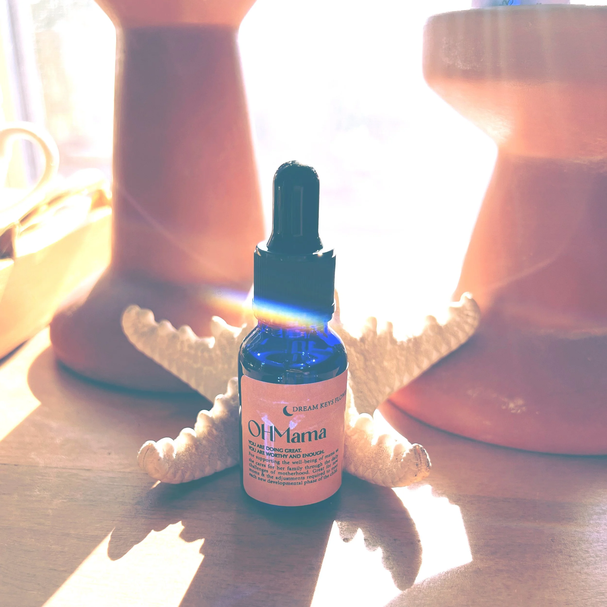 AnalogFilterLab 10.JPG