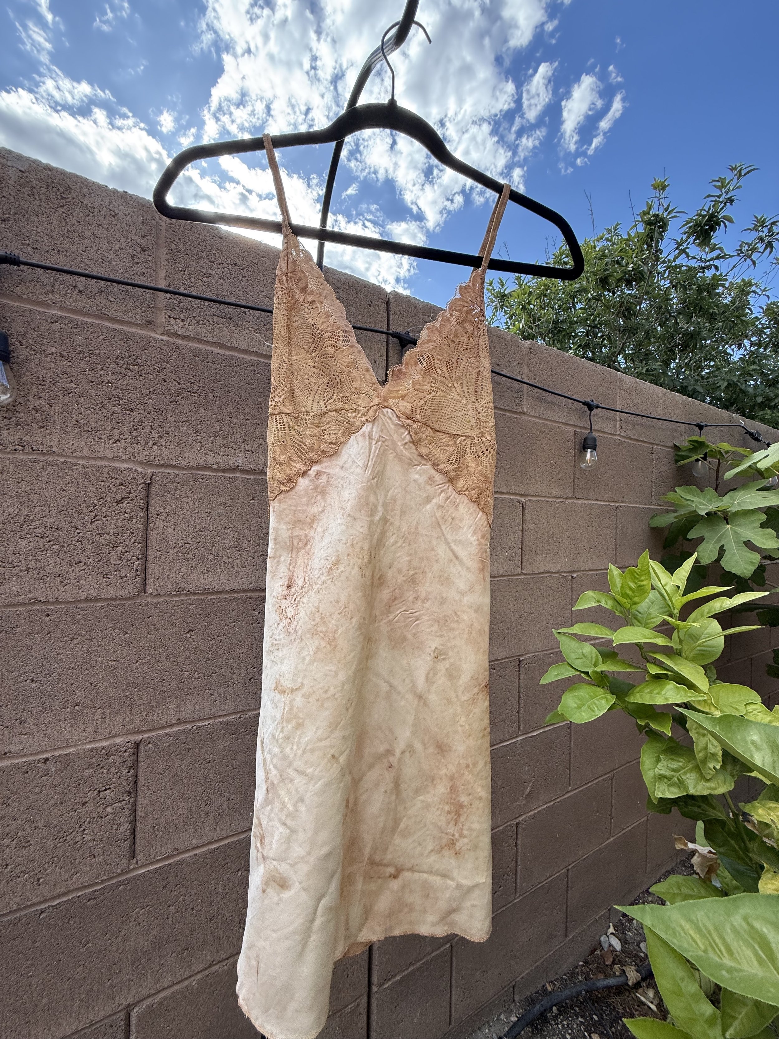 Avocado Rose Dye 9.jpg