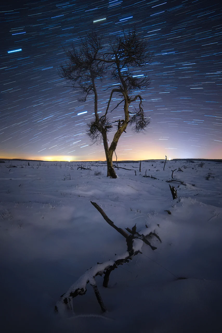 Winter trails