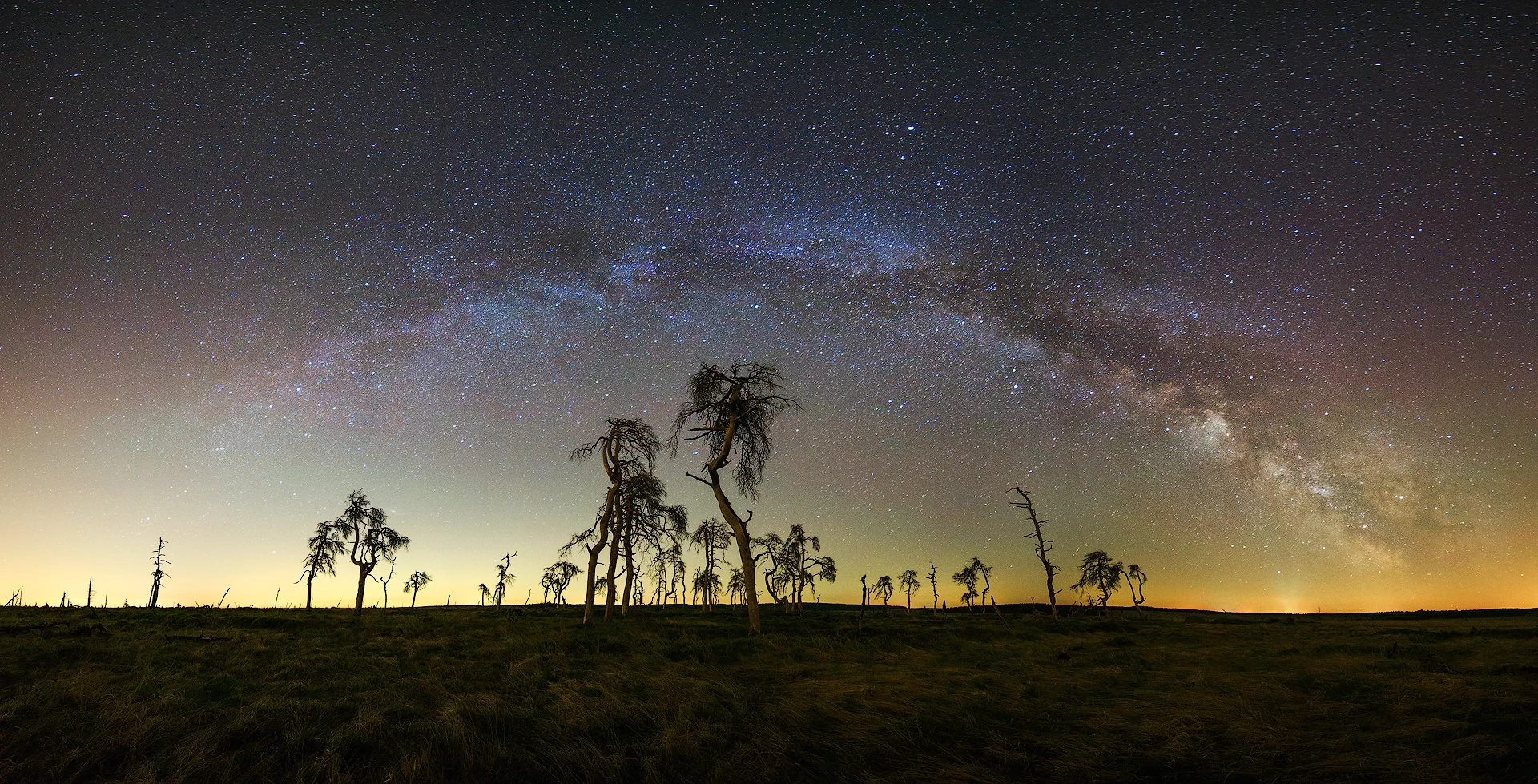 Milky way bow