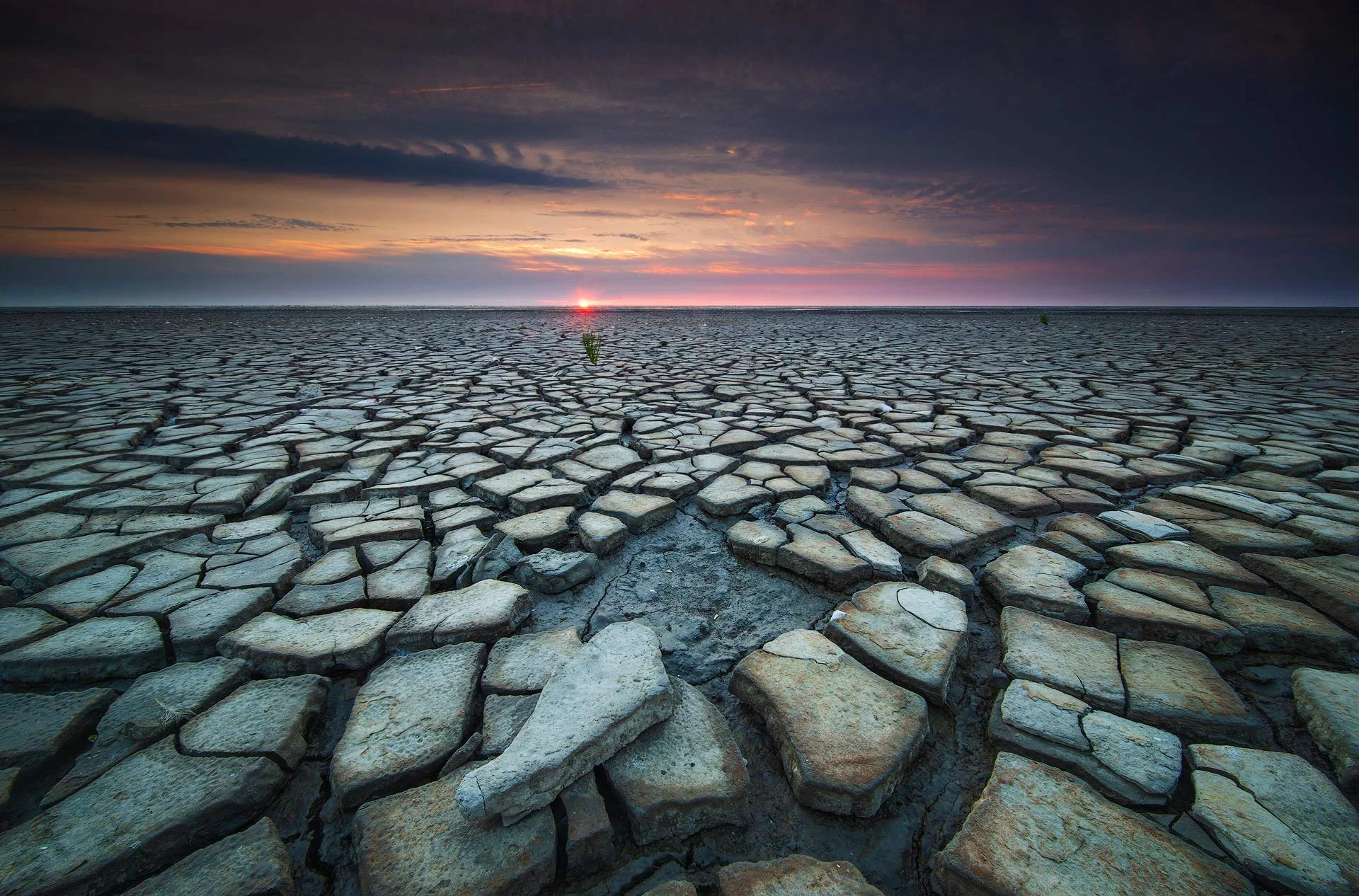 Wadden