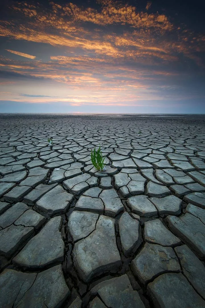 Wadden