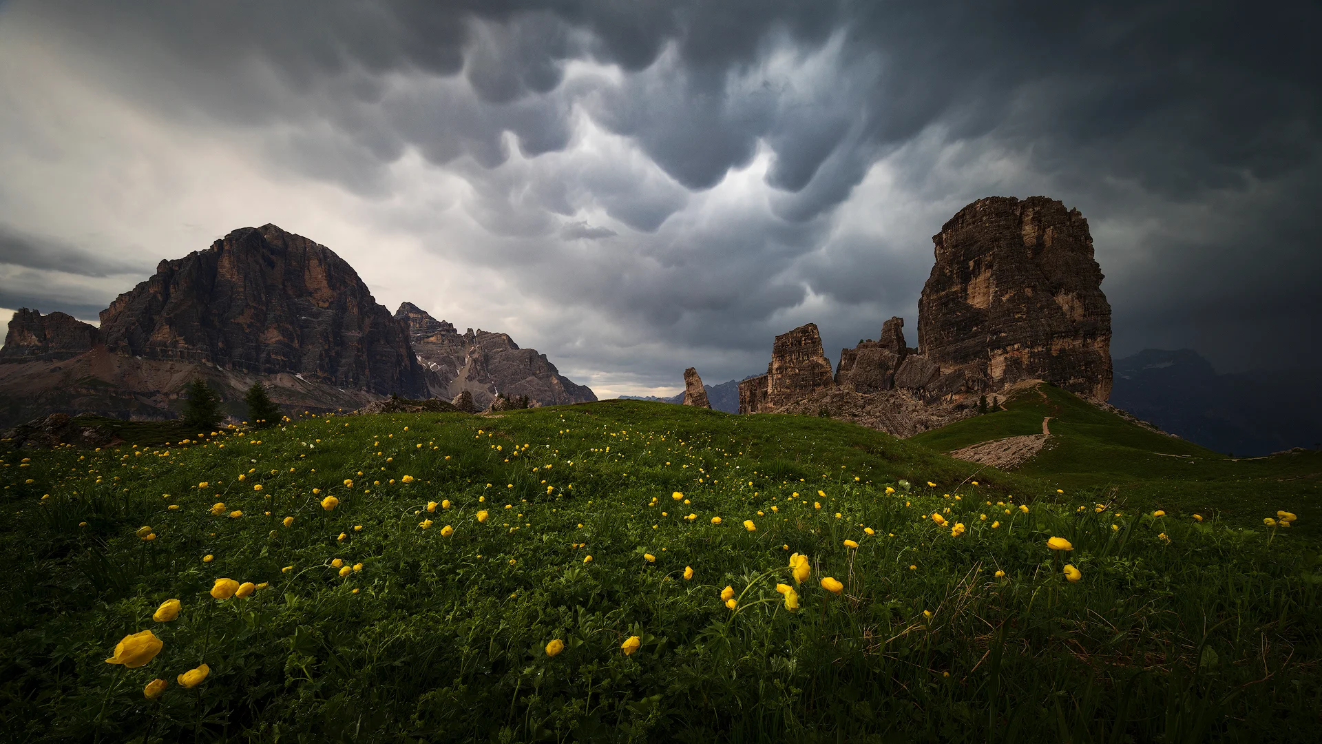 8B0A1350-tot-8B0A1352-stack-copy.jpg