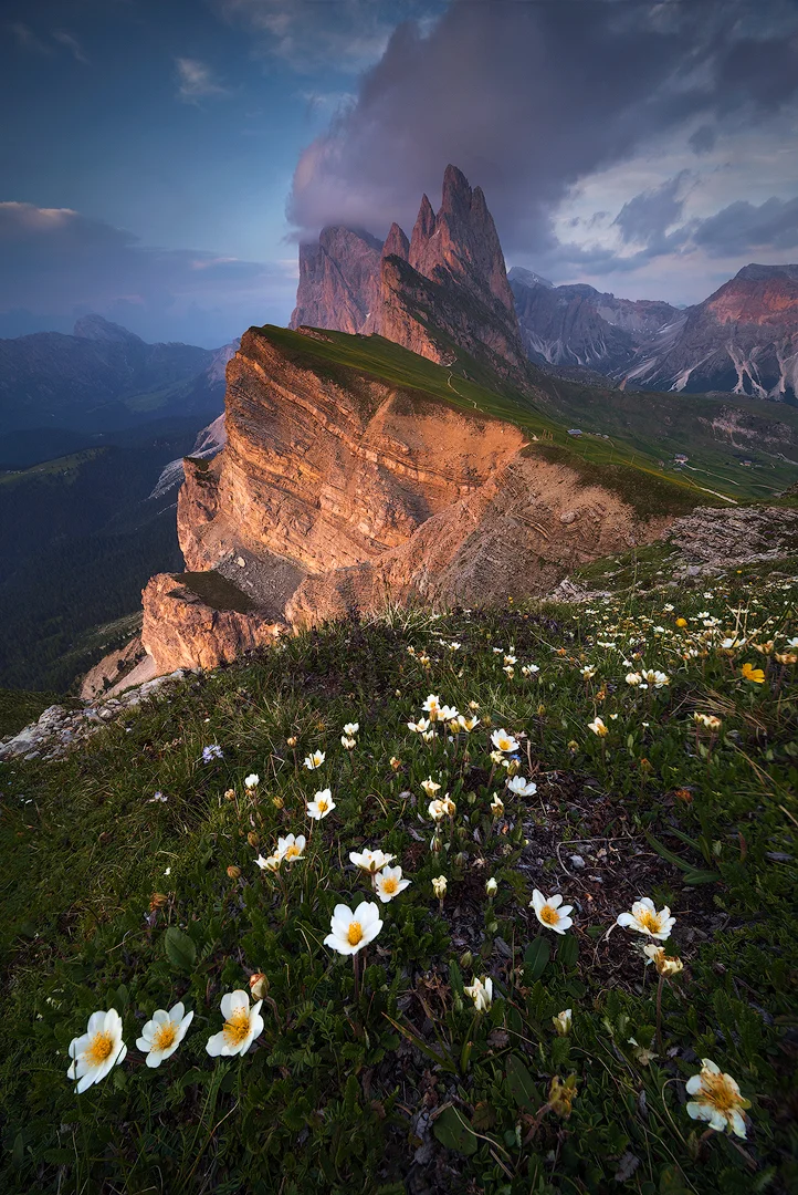 8B0A1159-tot-8B0A1162-stacked-copy.jpg