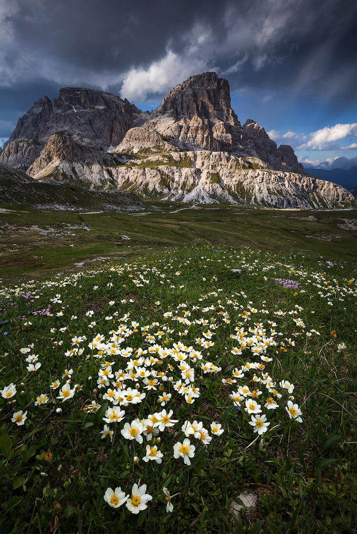 8B0A1718-tot-8B0A1720-stack-copy.jpg