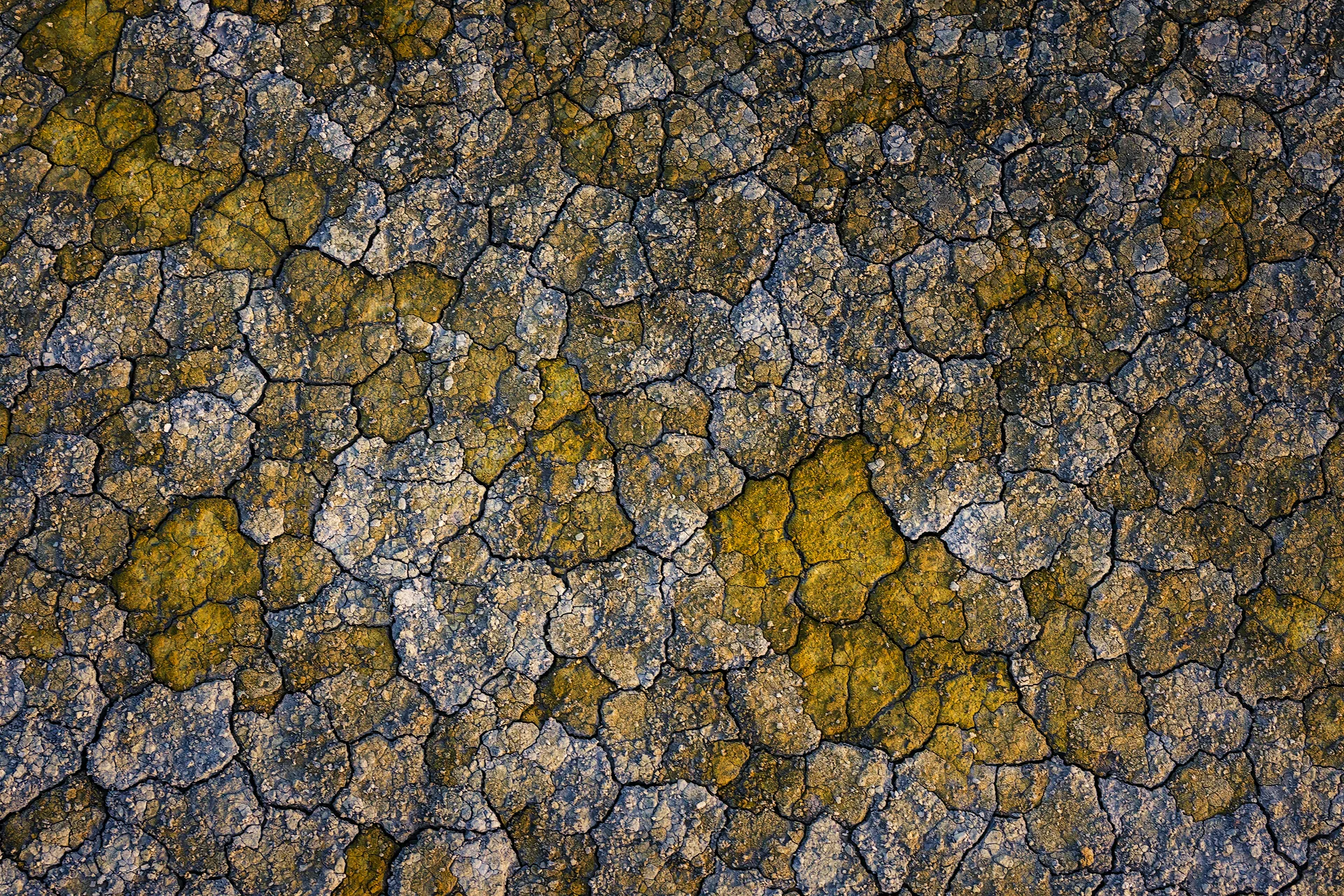 8B0A2988-copy.jpg