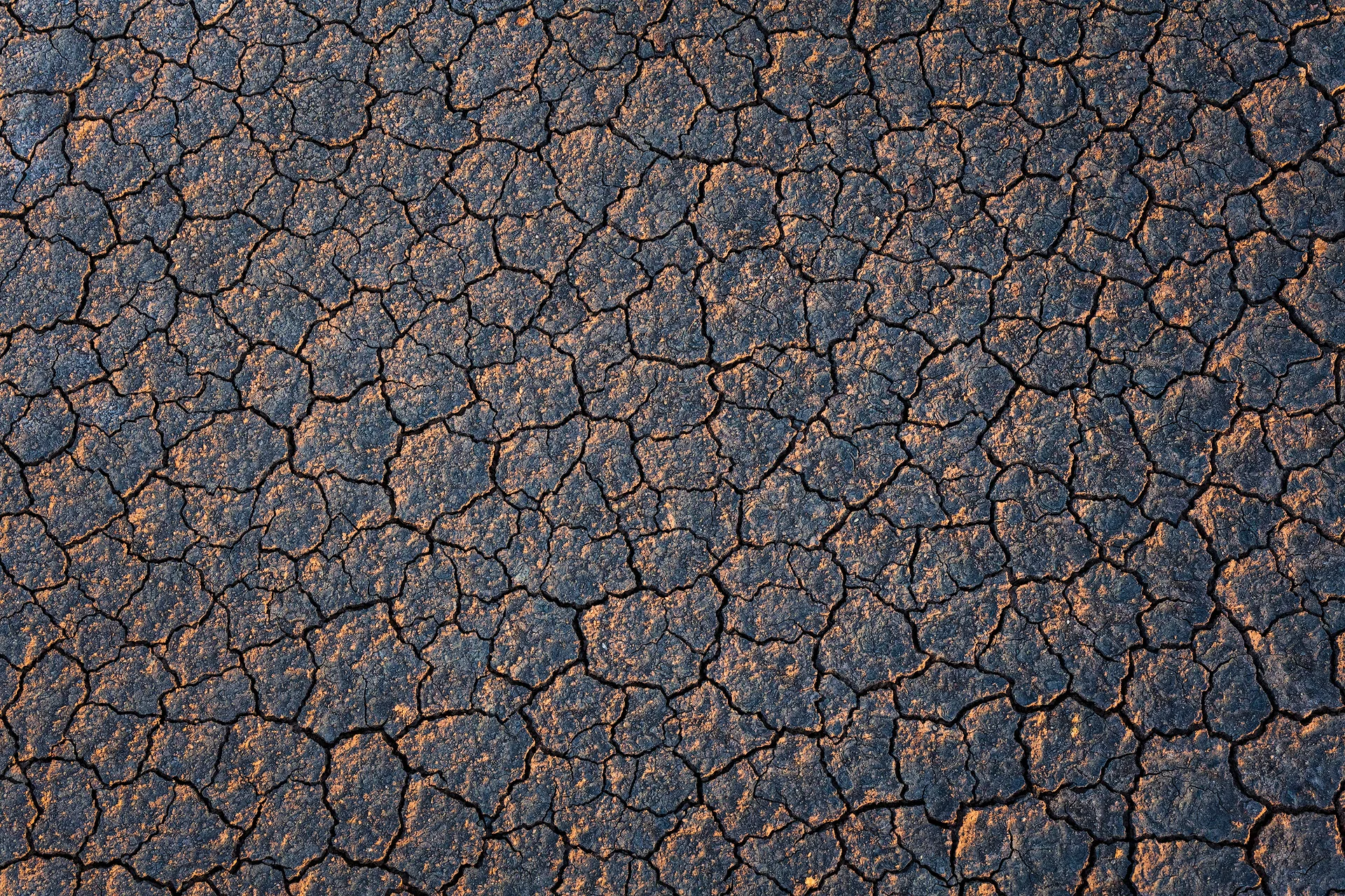 8B0A2958-copy.jpg