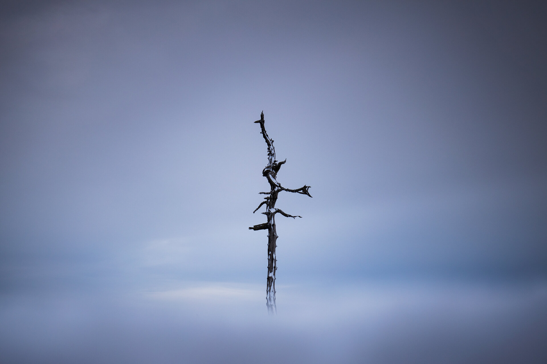 8B0A7029-copy.jpg