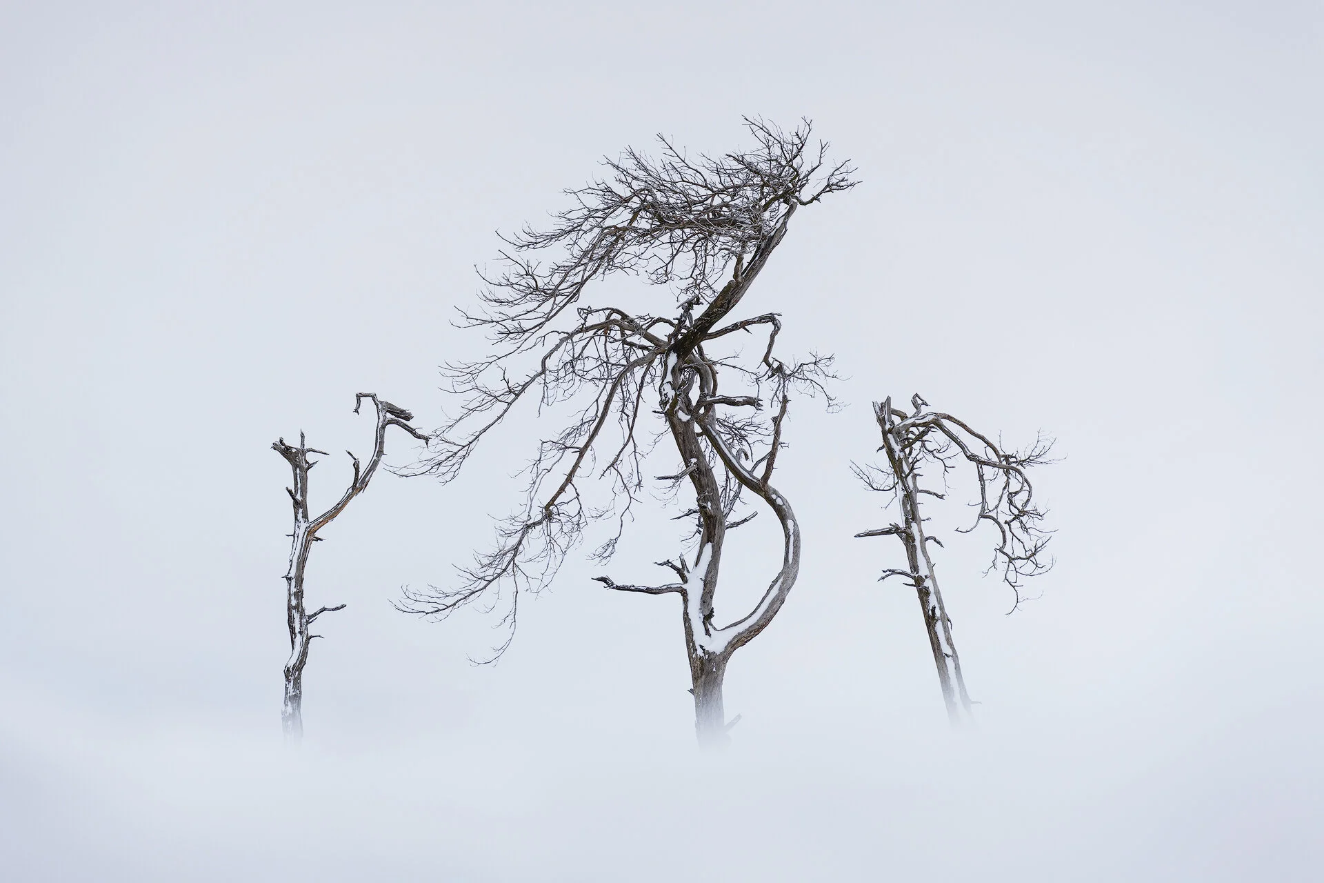 8B0A7122-copy.jpg