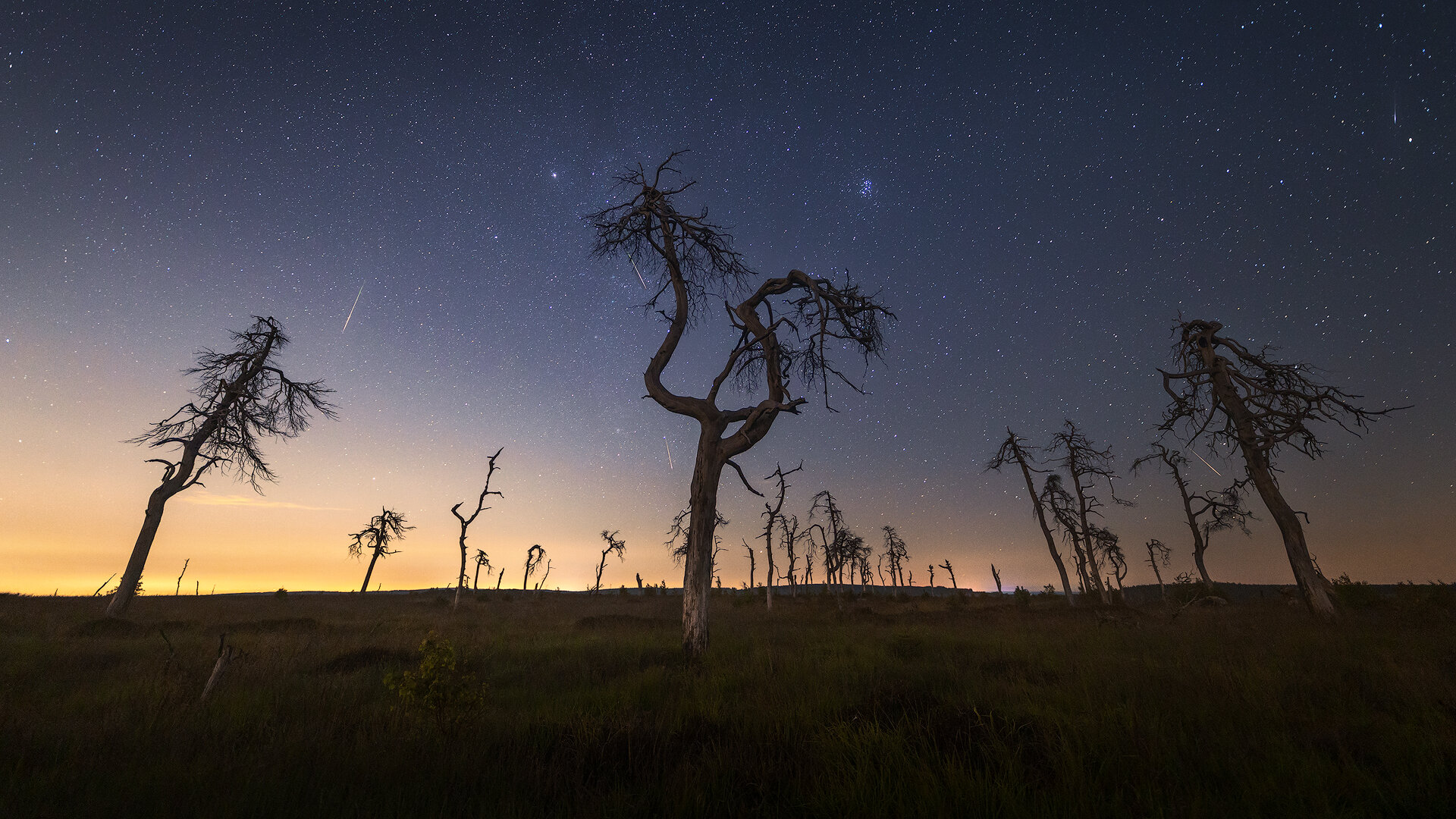 perseids-pano-copy.jpg