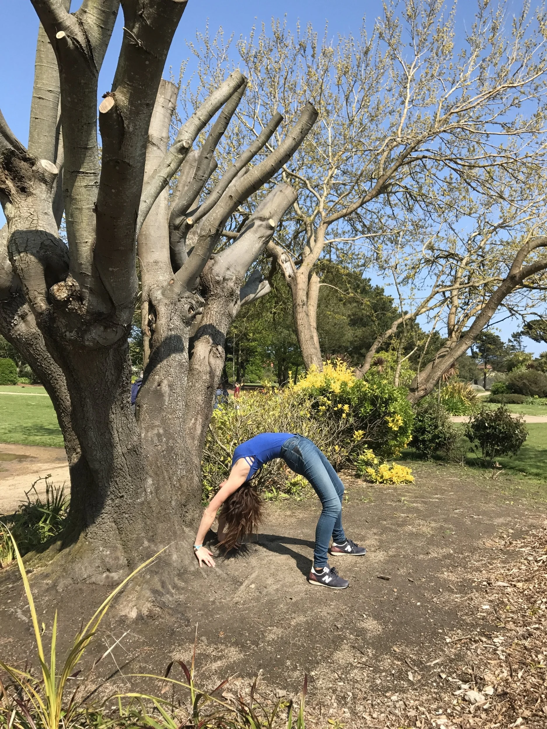 yoga_home.jpg