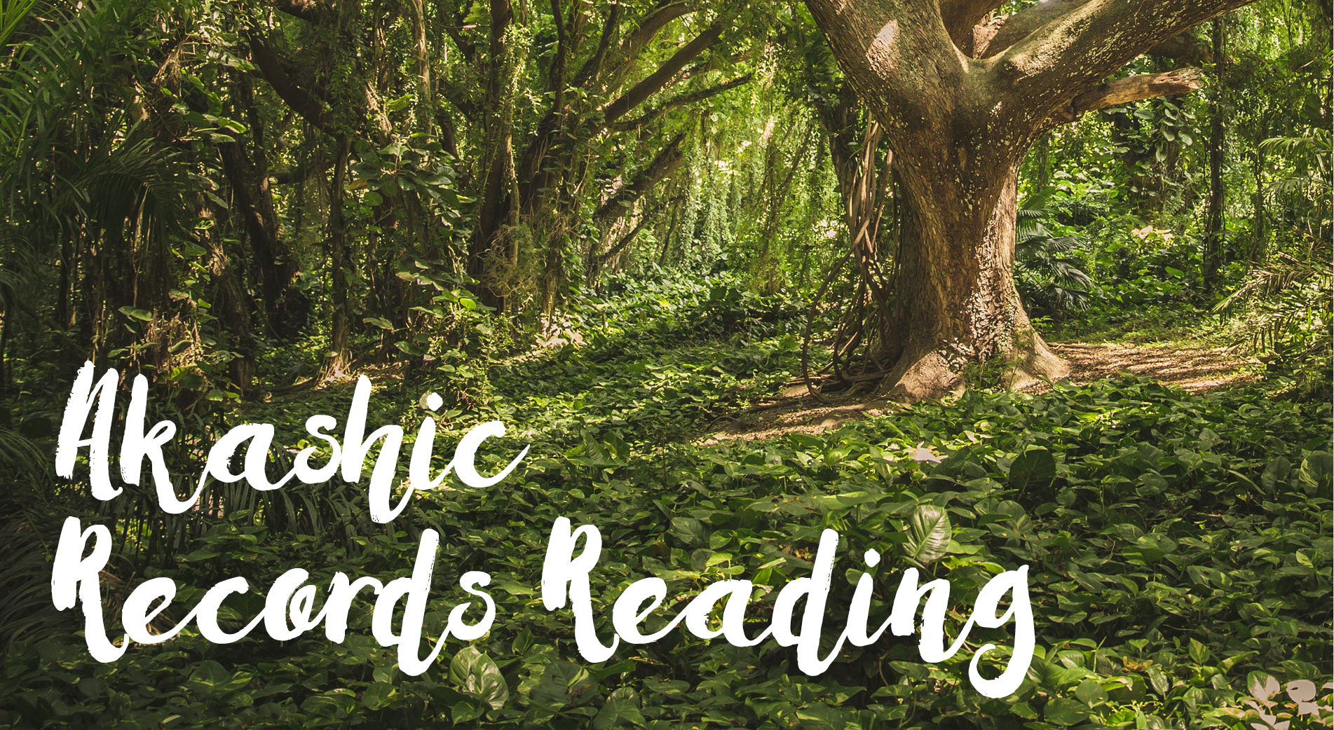 Enlighten_Medicine_Akashic_Records.jpg