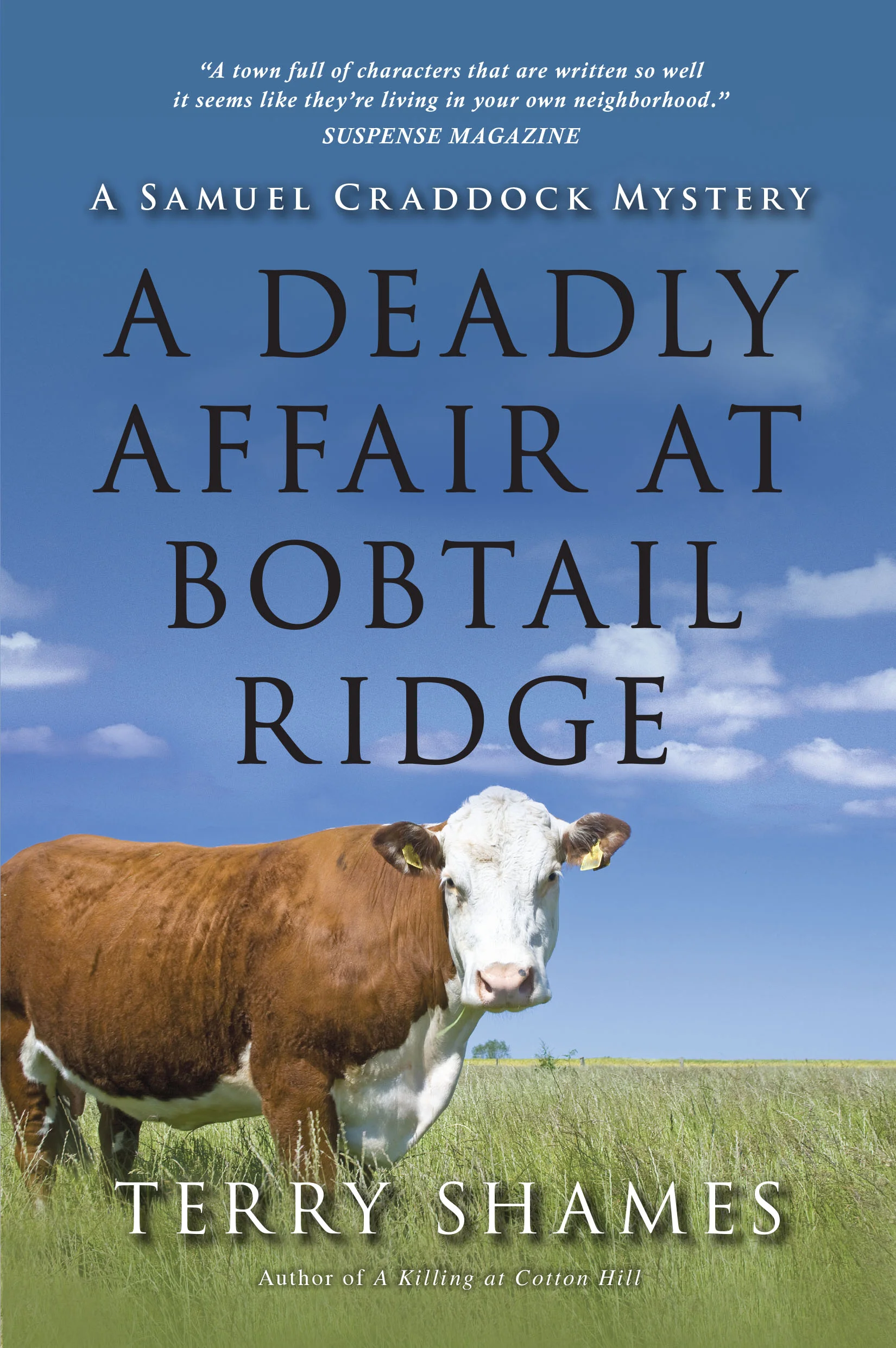 Deadly Affair_cover 2 (1).jpg