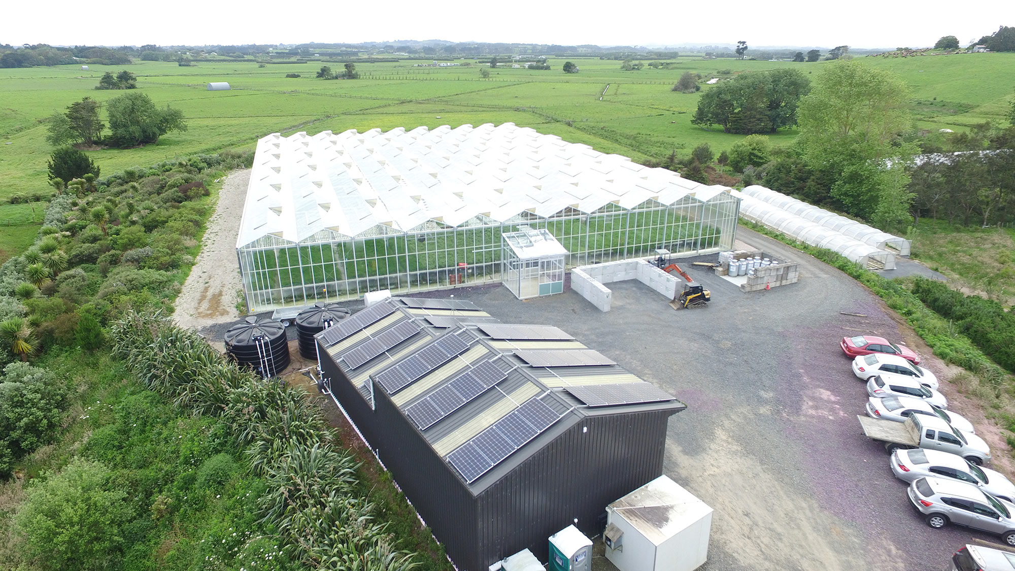 Scarborough-Fare-Sustainable-Growing.jpg