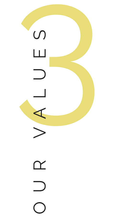 VALUES.png