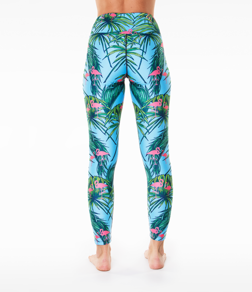Flamingo_Back_grande.png