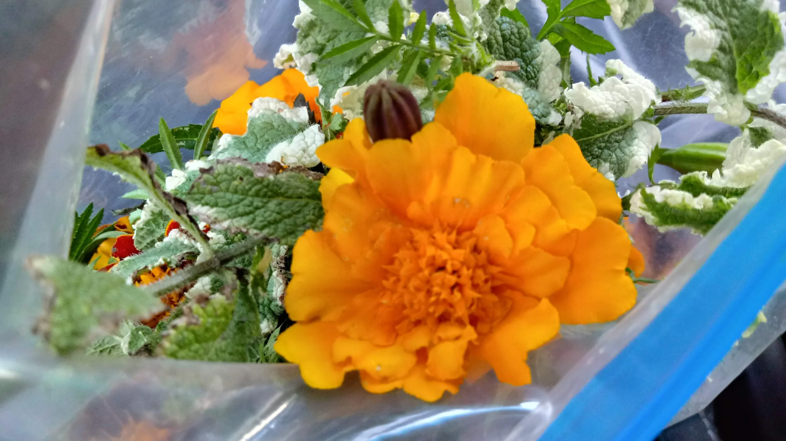 20181108_122908_HDR.jpg