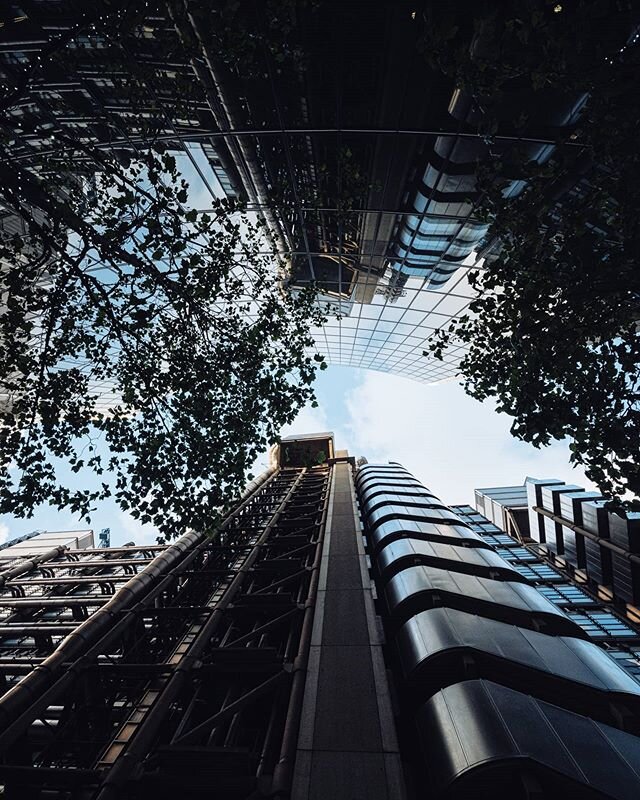 Never compare your planted seed to somebody's tree - Pst Michael Todd
⠀
⠀
⠀
⠀
⠀
⠀
⠀
⠀
⠀
⠀
⠀
⠀
⠀
⠀
⠀
⠀
#MondayMotivation #londonist #thisislondon #londondisclosure #cityscape #uk_shooters #igotlondonskills #sonyalpha #londres #london4all #cityviews #c
