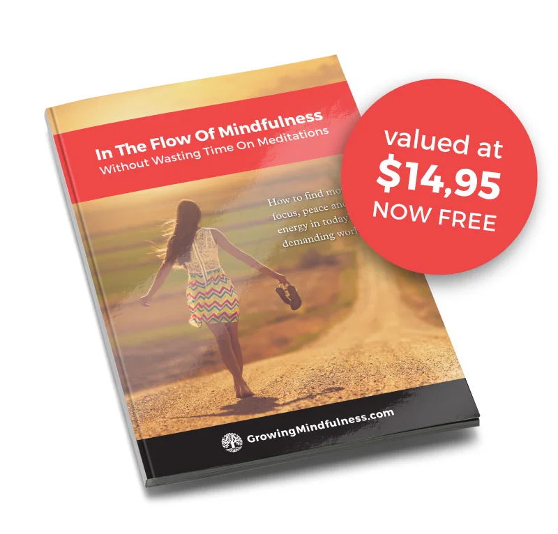 free-mindfulness-ebook WHITE BG.jpg