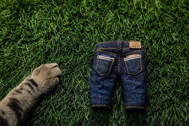 We snagged Kira 🐯 for scale. our new mini jeans series is up on our site! 👖onmybluejeans.com .
.
.
.
.
#onmybluejeans #ombj #creatives #community #gotravel #lifestyle #vsco#skrwt #blue #jeans #bluejeans #vintage #heritage #maker #shoplocal #travelr