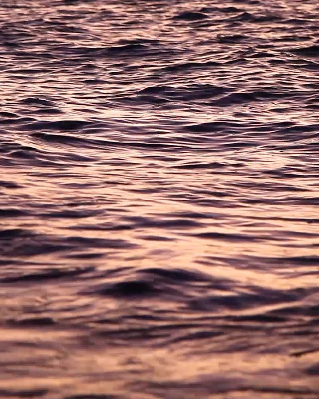 Lost at the sight of striking purple waves in the north shores of Oahu Hawai&rsquo;i // link in bio for the full down low 🔥🤙🏼 onmybluejeans.com .
.
.
.
.
#onmybluejeans #ombj #creatives #community #gotravel #lifestyle #vsco #blue #jeans #bluejeans