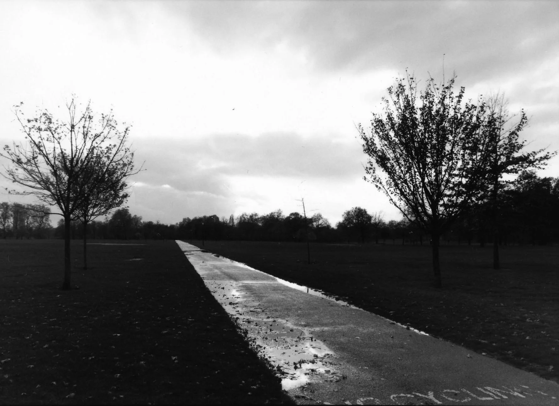 Hyde Park in the Rain