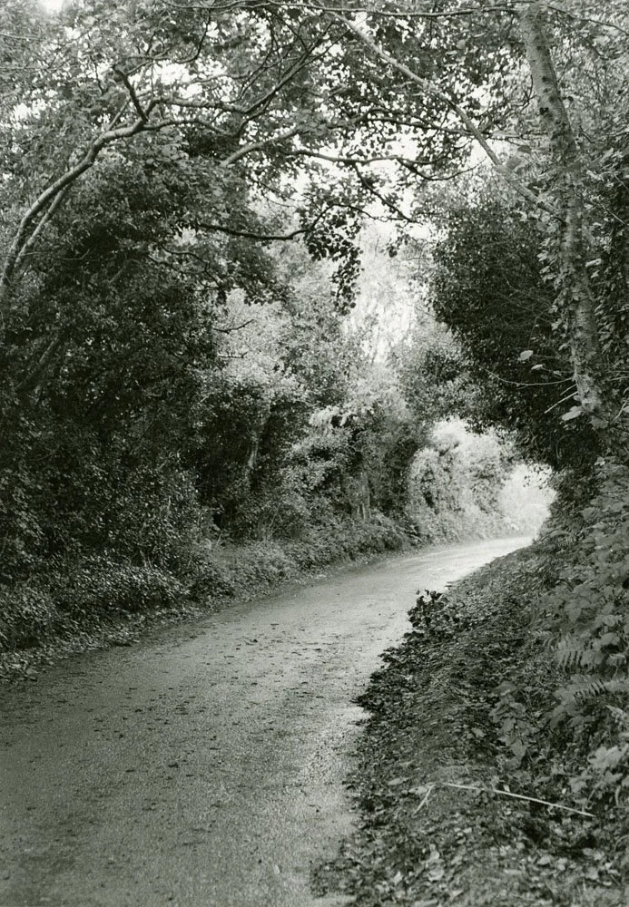 (2001) The Road Near Westport, Co. Mayo.jpg